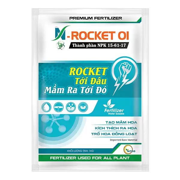 N – ROCKET 01