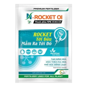 N - ROCKET 01